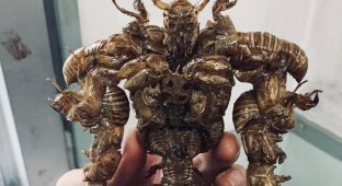 Школьник из Японии сделал уникальную статуэтку монстра из насекомых (7 фото)