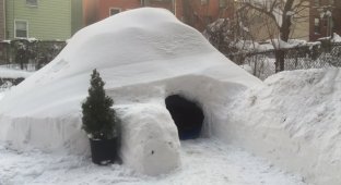 После снежной бури в Бруклине мужчина построил иглу и выставил зимнее жилище в аренду (8 фото)
