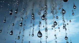 Разнообразное оборудование для измерения влажности масличных культур