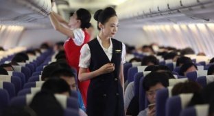Китайским стюардессам велели надевать памперсы на время полета (3 фото)