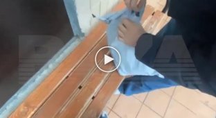 Горькое разочарование модника из Москвы, который заказал одежду в Телеграме