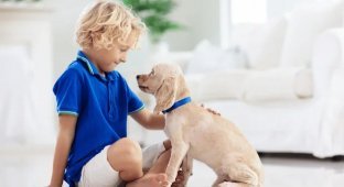 Собака в доме положительно влияет на здоровье ребёнка (3 фото)