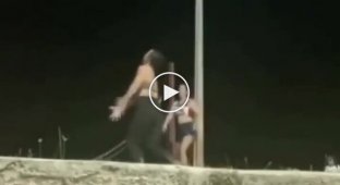 An owl decorated a video