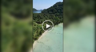 Пернатый хищник похитил дрон туристки