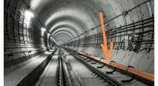 Это должен знать каждый: как выжить после падения на рельсы в метро (22 фото)