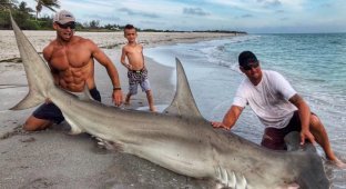 Американец поймал огромную акулу-молот. Но в центре внимания оказался далеко не улов! (8 фото + 1 видео)