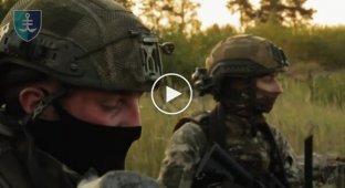 Сили оборони виявили та знищили групу окупантів, які намагалися сховатися в лісосмузі неподалік наших позицій