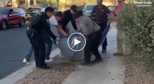 Arizona police caught a falling bear.