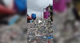 A strong tidal wave brought tons of garbage to the coast Mumbai