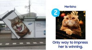 На сторінці Samsung росіяни заступилися за кішечку Мерлішу, яка перемагає в кастингу (7 фото)