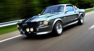 Shelby Cobra 500 «Eleanor». Вот это машина! (20 фото)