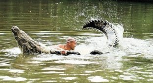 Смертельная дружба человека с крокодилом (14 фото)