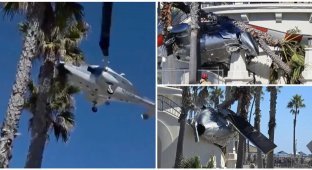 Helicopter Crashed Near a California Beach (2 photos + 5 videos)
