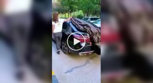 Полуавтоматический чехол для машины