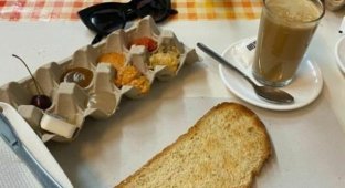 Strange serving of food in cafes and restaurants (29 photos)