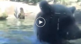 Trip to the zoo and trauma in children