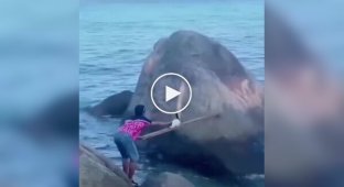 Небайдужий чоловік врятував котика з пастки, але малого чекав розбір польотів