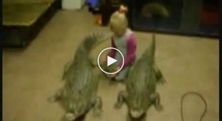 В Питере, 4-летний ребенок живет с двумя крокодилами