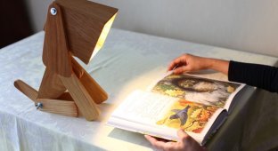 DIY wooden lamp (38 photos)