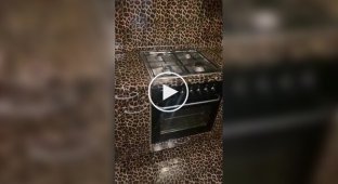 The most leopard kitchen in the world