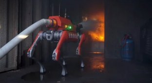 Chinese robotic firefighting dogs (1 photo + 1 video)