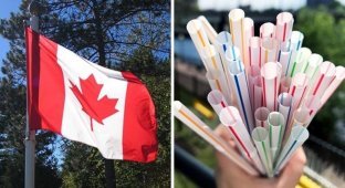 Чтобы уменьшить загрязнение окружающей среды, Канада запрещает одноразовый пластик (8 фото)