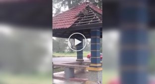 Прораб остался недоволен работой