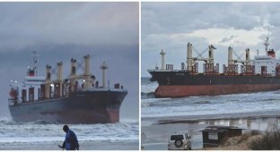 В Анапі на берег викинуло суховантажне судно "Blue Shark" з 2,8 тисячі тоннами ячменю (4 фото + 3 відео)