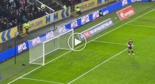 A squirrel attended a football match