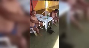 Пиво с рыбкой