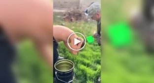 Халк, початок: З таким другом і ворогів не треба