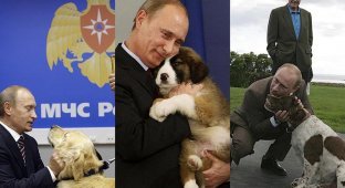 Путин – любитель собак (9 фото)