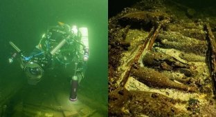 Divers found a sunken ship filled with antique champagne and porcelain (3 photos)