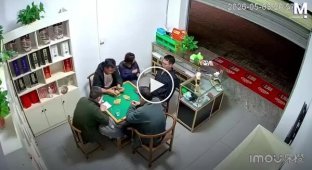 Спокойный вечер взрослых внезапно прервал падающий шкаф
