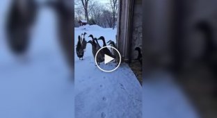 Погуляли и хватит