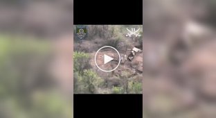 Drone operators of the 59th Mechanized Infantry Brigade destroy enemy dugouts and occupiers