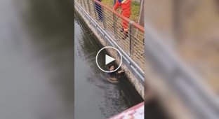 Rescue took an unexpected turn