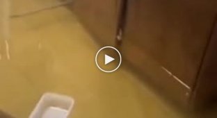 No, this is not footage from a sinking ship.