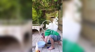 Люди, які задіяють усі 100 відсотків свого мозку