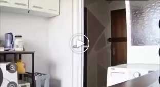 Cat found a camera that was watching him