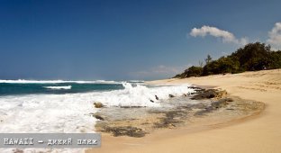 Hawaii: дикий пляж (22 фото)