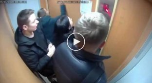 Питeкантропы разгромили лифт в новостройке Ярославля