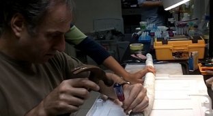 Гигантский червь питающийся сероводородом (3 фото + 1 видео)