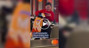 A broken robot amused restaurant customers