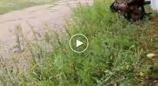Подборка видео подбитой техники рф в Украине. Выпуск 65