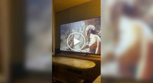 How to Watch Intense Scenes in The Lion King