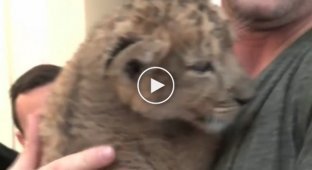 He nursed a lion cub from infancy and what mutual love turned out to be