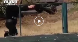 Cobra with a gun: a woman fired a gun at children on the playground