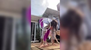 Пес украсил собой видео хозяйки