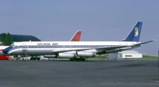 «As you Americans say, I fucked up». Приводнение рейса JAL002 в Сан-Франциско и «Защита Асо» (5 фото)